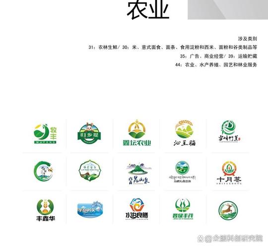 保定商标设计公司选择指南 避开陷阱的完整避坑清单